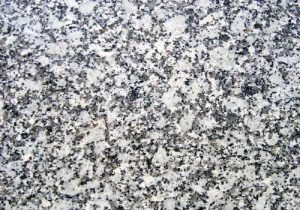 Grissel