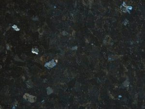 Labrador Oscuro